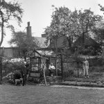 1682_004 copyJPEG5.jpg