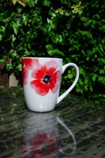 mug.JPG mug.JPG
