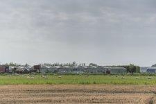 _7519303.jpg