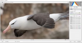 Albo raw crop.JPG