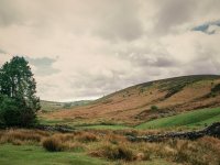 005 Headland Warren Farm Valley 02 40mm-73890005 PS Adj.JPG