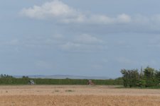 _7519453.jpg
