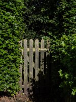 Parallel 3.jpg Parallel 3.jpg