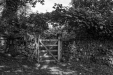 004 Gate 04-1004184 PS Adj.JPG