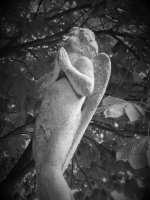 Stone Angel.jpg