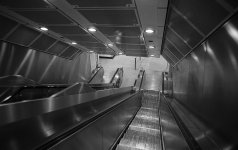 escalator II.jpg