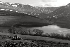 img019.jpg