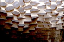 Sculpted wrapping paper TZ70 TZ70 P1030540.JPG