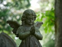 Angel G80 1.jpg