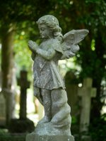 Angel G80 2.jpg