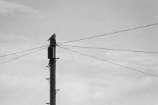007 Leading Lines 03-66800013 PS Adj.JPG