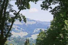Tyrolean view through trees Leica M3_56600004.JPG