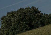 Bottom left f9.5.jpg