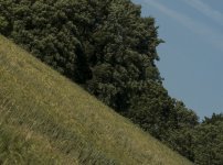 Bottom right f9.5.jpg