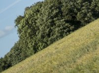 f1.4 bottom left.jpg