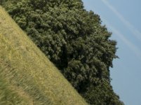 f1.4 bottom right.jpg