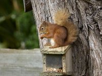 20220618-O6180057-C1 2.jpg