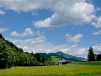 Meadow and mountains Niederau FX55 1010122.JPG