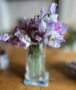 A60F53FD-3ABC-4468-A29C-779BF70811BB.jpeg