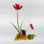 Week 25 Snappers Choice.JPG