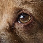 Yuffie 2470 - 2 of 2 - A1207403-2.jpg