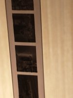 IMG_20220703_210954469.jpg