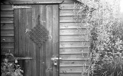 rsz_shed_3722_img313.jpg