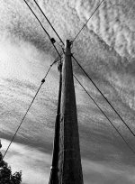 20220713-IMG_7705-week27 2.jpg