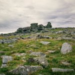 007 Gt Staple Tor 01-82530011 PS Adj.JPG