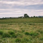 004 Vixen Tor 01-82530008 PS Adj.JPG