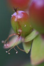 DSCF4954.JPG