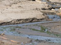 week 28 - Water.jpg