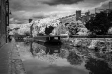 Social Media-7074inf.jpg