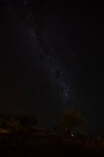 DSC_4519.jpg