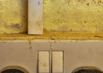 Saw-Dust.jpg