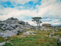 005 Kings Tor Lone Tree 01-000005780008 PS Adj.JPG