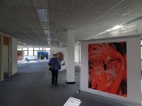 Wildlife photography exhibition at Winslade Park DSC01107.JPG