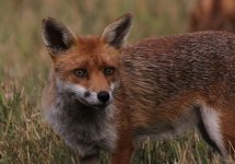 IMGL4126-edit 2 - Copy.jpg