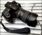 Camera Sony A65 on trivet in kitchen DSC01375.JPG