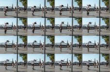 Skateboarder Multi.jpg