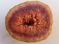 DSCF6236.JPG