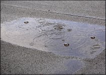 Puddles on flat roof GM5 _1050825.jpg