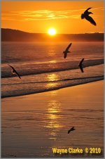 Untitled-1 small.jpg