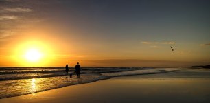 Sunset with Couple and  dog 2.jpg