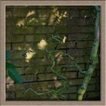 Dappled-Twisted-Hazel-Square.jpg