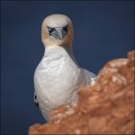 Week 33 - Square.JPG