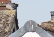 g9-300.jpg g9-300.jpg