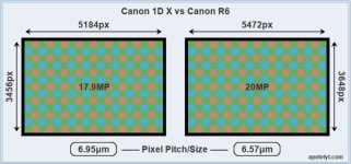 1dx vs r6.jpg
