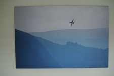 DSC_5556.jpg