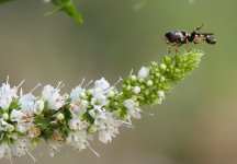 P8279211-1k.jpg